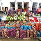 시장,과일,감자,세계,트럭,농산물,상점,모스크바,채소,사람
