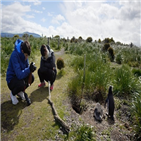 안재홍,아르헨티나,옹성우