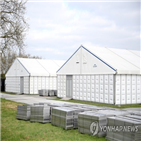 사망자,코로나19,영국,전체