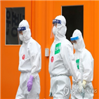 재양성,바이러스,코로나19,사례,결과