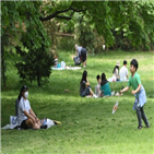 구매,공적마스크,식약처,마스크