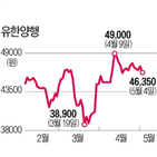 실적,유한양행,증가,영업이익,매출