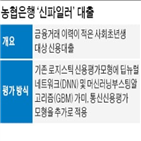 대출,신용대출,사회초년생,농협은행