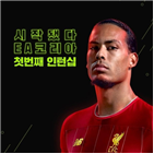 코리아,인턴십,정규직