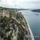 터키,확진,코로나19