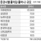 증권사,콜차입,한도,확대,콜머니,자기자본,단기자금시장