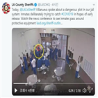 코로나19,고의,석방,경찰