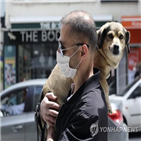 코로나19,검사,터키