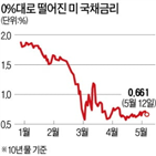 금리,마이너스,가능성,국채,미국,트럼프