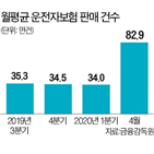 운전자보험,가입,벌금,보험사,보장