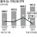 증가율,대비,가계신용,지난해,가장,가능성,영향