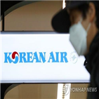 러시아,운항,특별항공편,총영사관