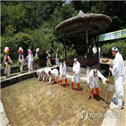 행사,모내기,진행