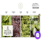 채널,조이코퍼레이션,고객,상담