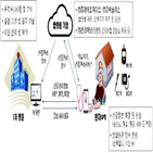 실증,의료,환자,강원도,대면,당뇨,의사