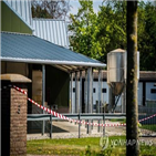 전염,밍크,사례