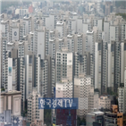 정부,국민,서울,정책,아파트
