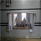 에볼라,민주콩고,발병,지역,동부