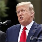 트럼프,지지율,바이든,대선,여론조사,대통령,클린턴