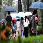 가장,장마,제주,제주도