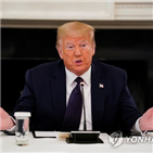 트럼프,대통령,의원,흑인,유권자,대선