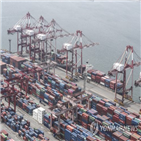 증가,감소,작년,수출,수출액