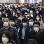 취업률,상승,기록,취업,채용