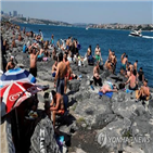 터키,하루,확진