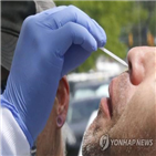 코로나19,환자,증가,애리조나주