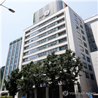 개선,증가,손해율