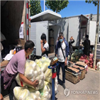 베이징,시장,가격,채소