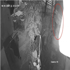 여성,송치,경찰