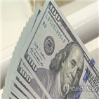 환율,상승,대한,유행
