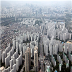 전세,중개업소,잠실동,대표,거래,부동산