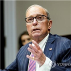 일부,이후,코로나19,백악관,위원장