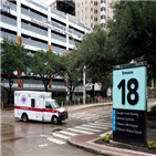 임신부,코로나19,확률