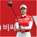 레이디스컵