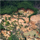 아마존,열대우림,파괴,그린피스,올해