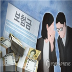 보험사,고모,보험사기,사기,사건,보험금,연합뉴스