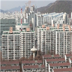 서울,거래량,신고,전용,이후,매매가,기록,규제,거래,수도권