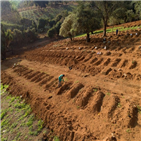 확진,1000만,집계