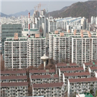 서울,거래량,이후,거래,전용,신고,아파트,가격,집값,규제