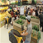 긴급재난지원금,분석,영업적자,규모,이마트,적자,실적,하반기,성장률