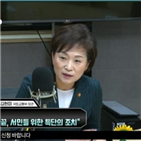 대책,김현미,장관,물량,부동산,증여,증세