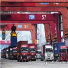 중국,증가,작년,시장,수입