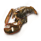 갑각류,랍스터,고급