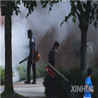 싱가포르,뎅기열,감염,숲모기,환자