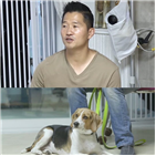 쿠키,마지막,보호자