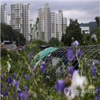 그린벨트,태릉골프장,최근,개발,해제,정부