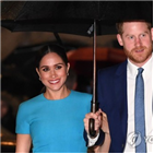 해리,부부,파파라치